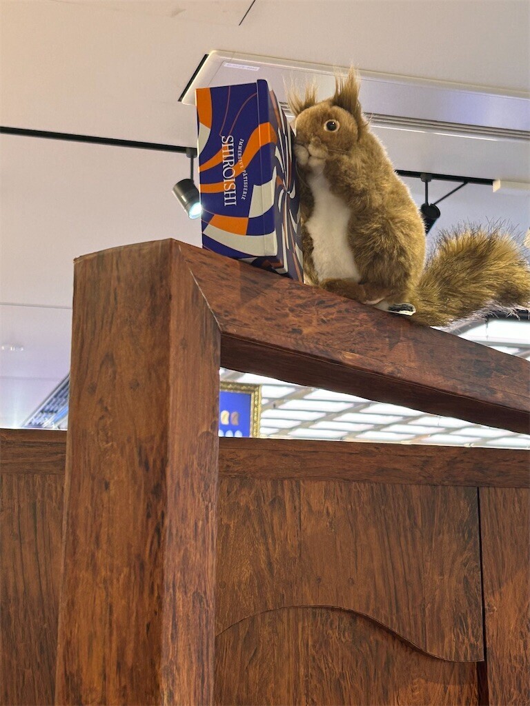 f:id:Magnoliarida:20231218074123j:image