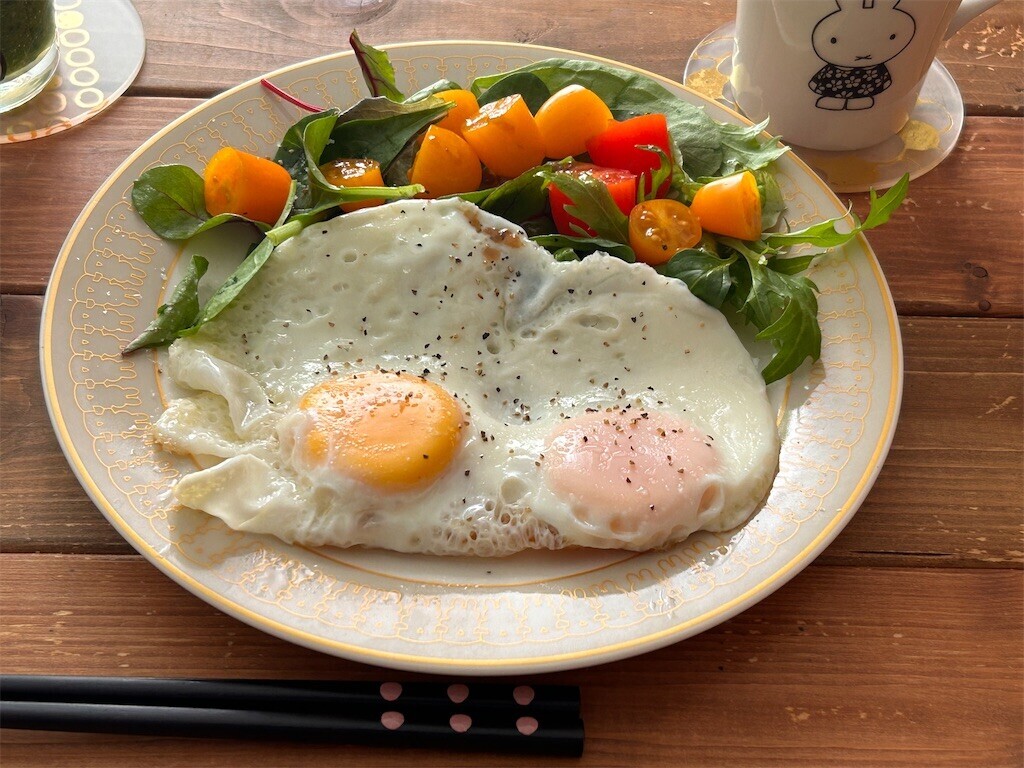 f:id:Magnoliarida:20231231114023j:image f:id:Magnoliarida:20231231114023j:image