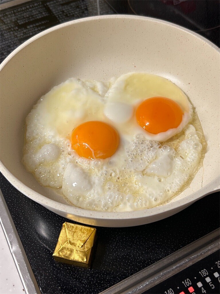 f:id:Magnoliarida:20231231114125j:image f:id:Magnoliarida:20231231114125j:image