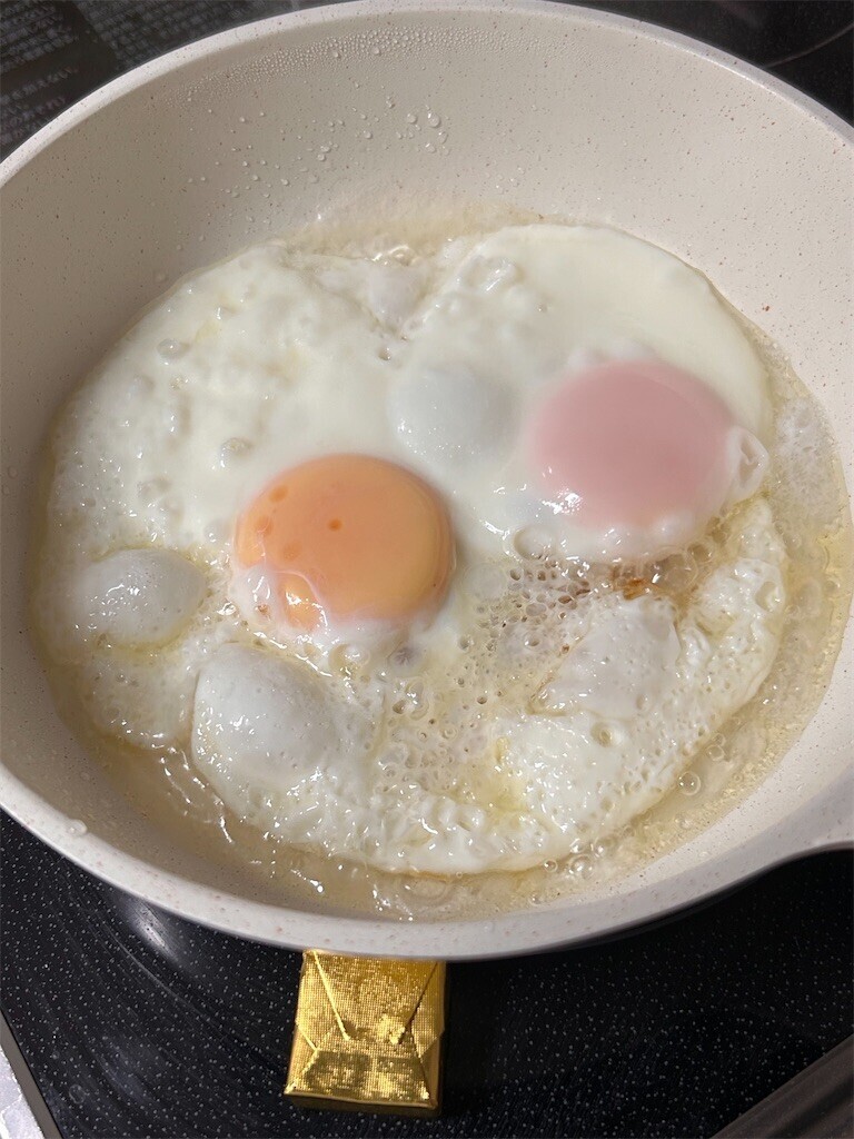 f:id:Magnoliarida:20231231114249j:image f:id:Magnoliarida:20231231114249j:image