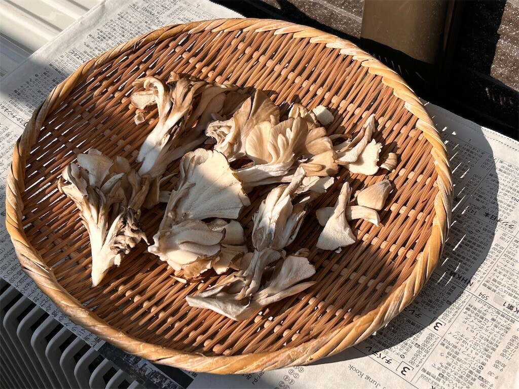 f:id:Magnoliarida:20231231123030j:image f:id:Magnoliarida:20231231123030j:image