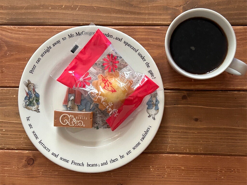 f:id:Magnoliarida:20240102114143j:image