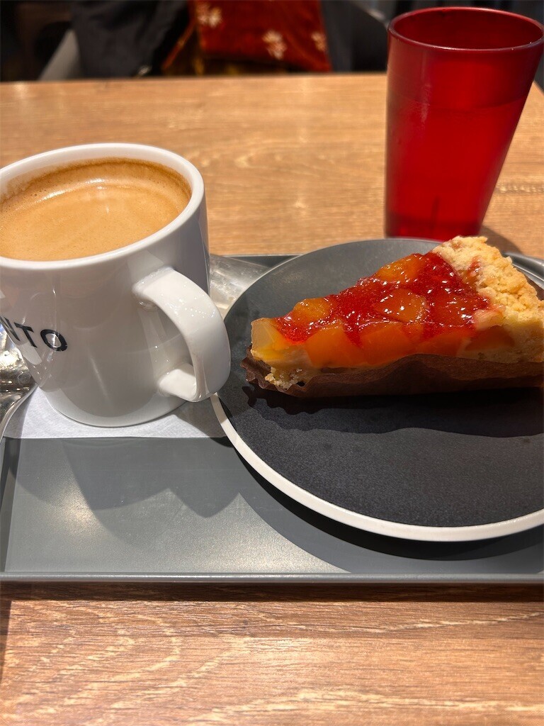 f:id:Magnoliarida:20240105213536j:image