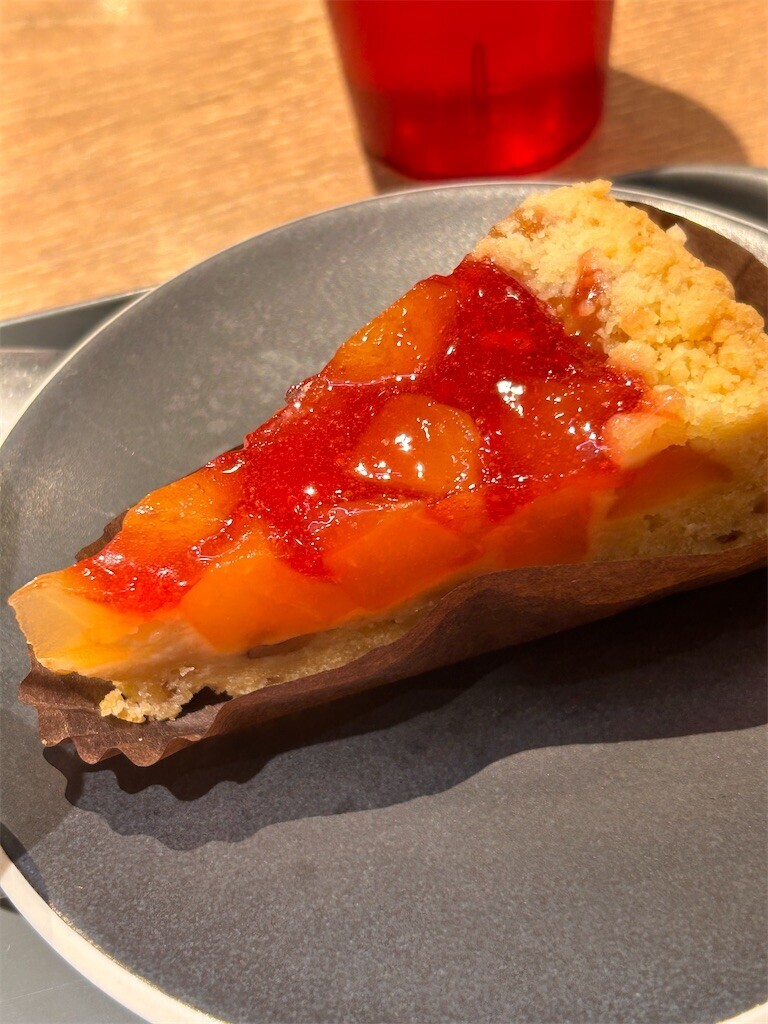 f:id:Magnoliarida:20240105213539j:image