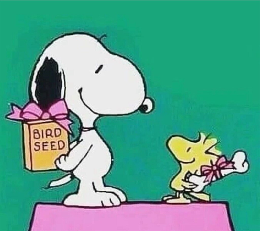 f:id:Magnoliarida:20240107125551j:image f:id:Magnoliarida:20240107125551j:image