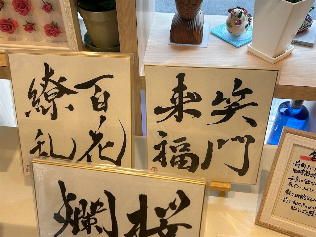 f:id:Magnoliarida:20240107232447j:image f:id:Magnoliarida:20240107232447j:image