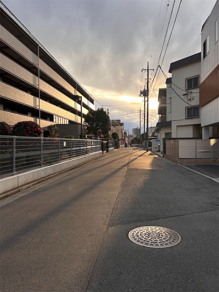 f:id:Magnoliarida:20240107232645j:image f:id:Magnoliarida:20240107232645j:image