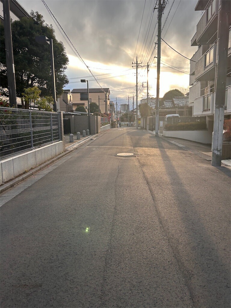 f:id:Magnoliarida:20240107232652j:image f:id:Magnoliarida:20240107232652j:image