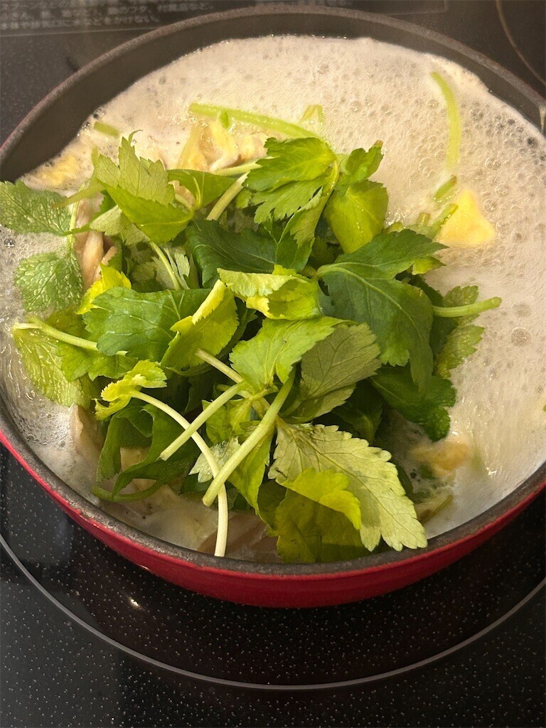 f:id:Magnoliarida:20240108100538j:image f:id:Magnoliarida:20240108100538j:image