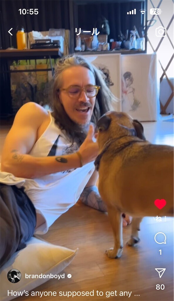 f:id:Magnoliarida:20240108105956j:image f:id:Magnoliarida:20240108105956j:image