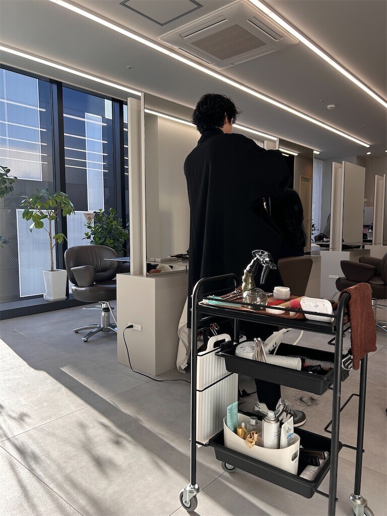 f:id:Magnoliarida:20240108192558j:image