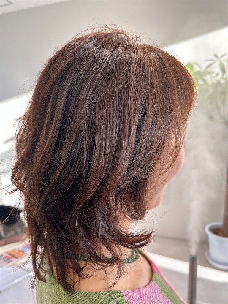 f:id:Magnoliarida:20240108200625j:image