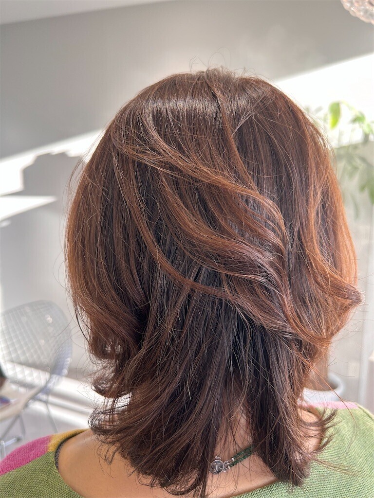 f:id:Magnoliarida:20240108200628j:image