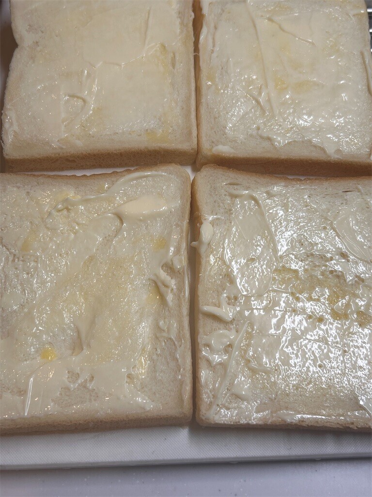 f:id:Magnoliarida:20240112073544j:image