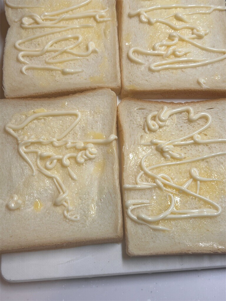 f:id:Magnoliarida:20240112073547j:image