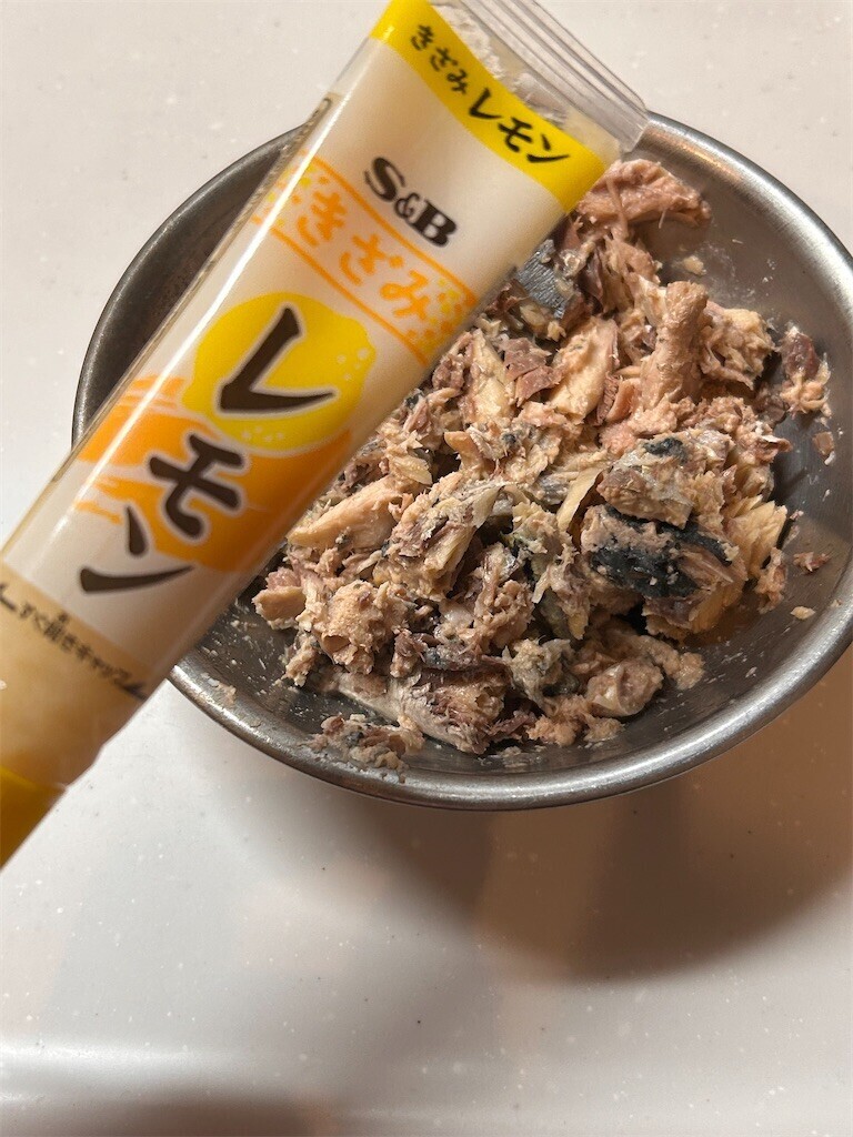 f:id:Magnoliarida:20240112073550j:image