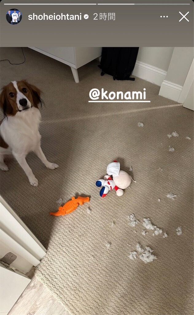 f:id:Magnoliarida:20240116090357j:image