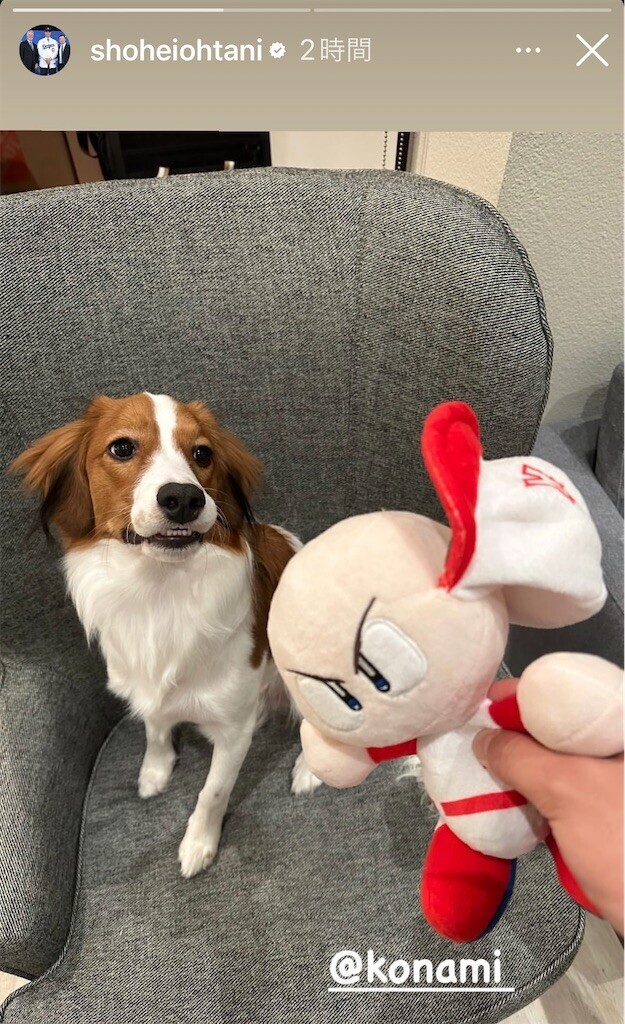 f:id:Magnoliarida:20240116090400j:image