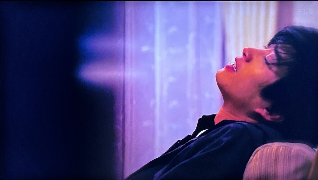 f:id:Magnoliarida:20240121210410j:image