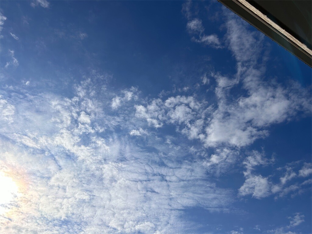 f:id:Magnoliarida:20240128100339j:image