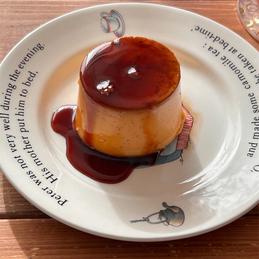 f:id:Magnoliarida:20240128101054j:image