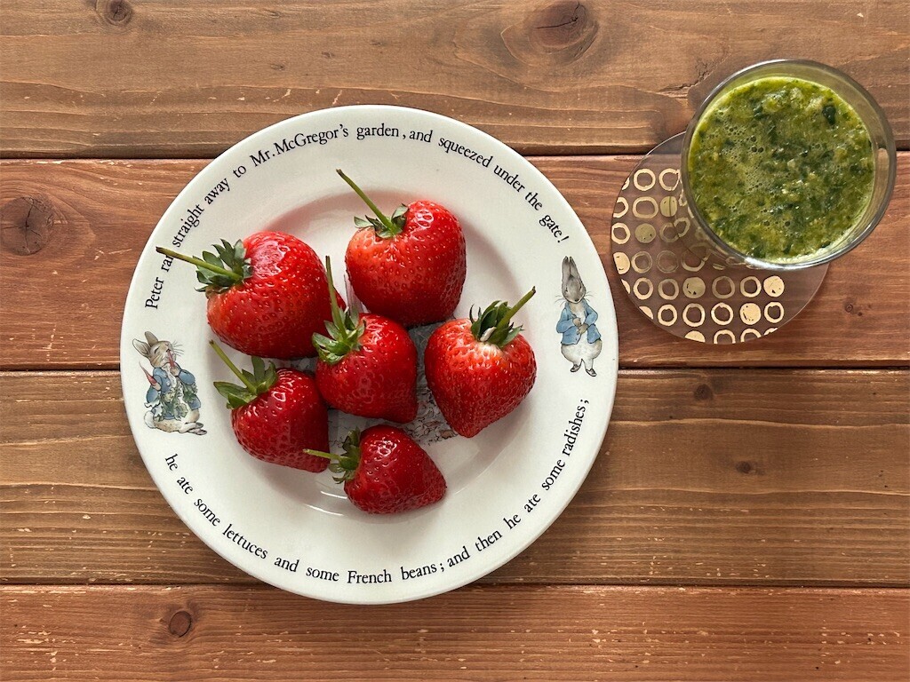 f:id:Magnoliarida:20240130083429j:image f:id:Magnoliarida:20240130083429j:image