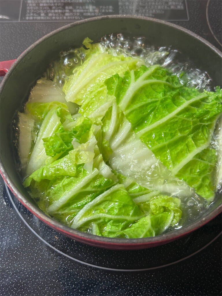 f:id:Magnoliarida:20240205095009j:image