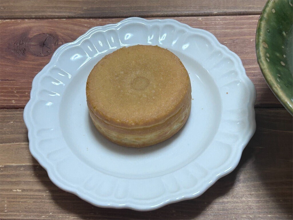 f:id:Magnoliarida:20240209072550j:image