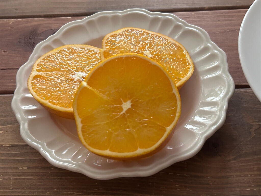 f:id:Magnoliarida:20240217090240j:image