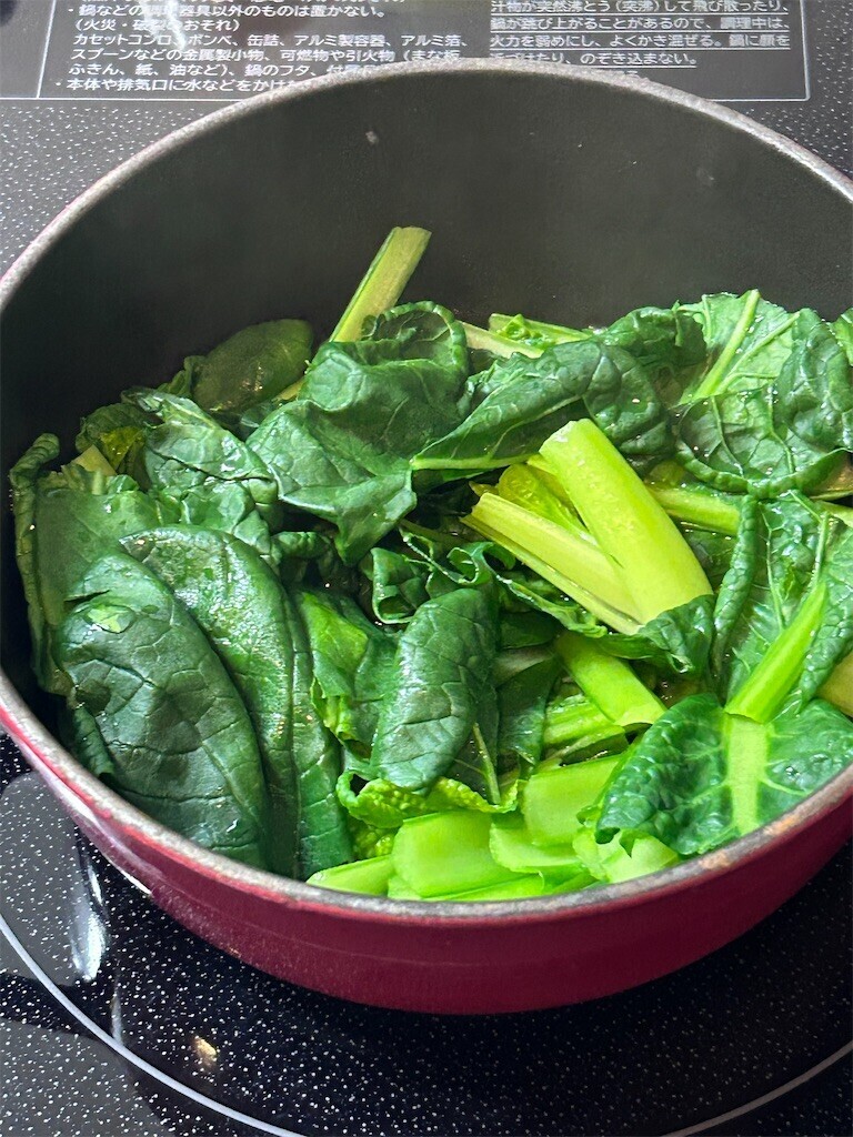 f:id:Magnoliarida:20240222074309j:image f:id:Magnoliarida:20240222074309j:image