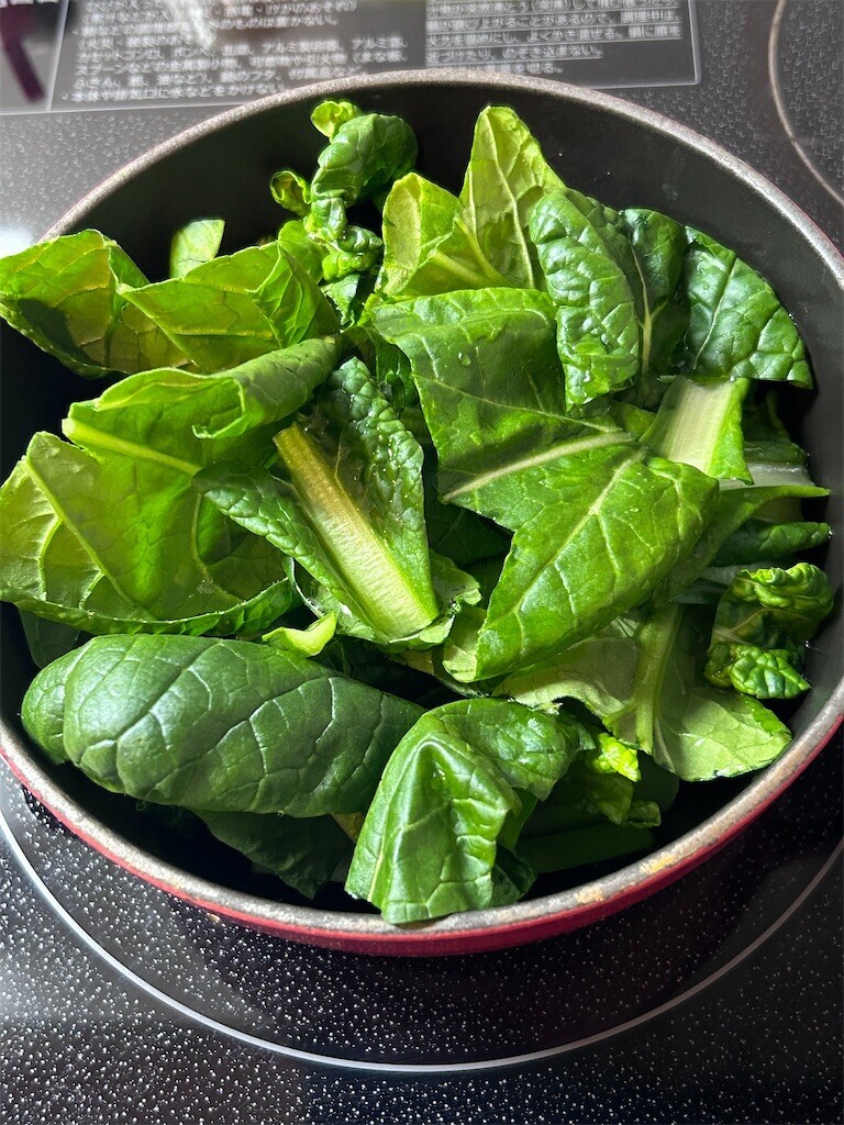 f:id:Magnoliarida:20240222074313j:image f:id:Magnoliarida:20240222074313j:image