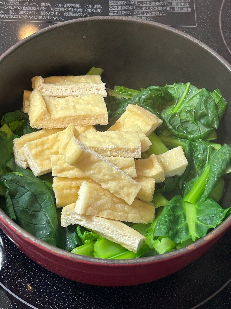 f:id:Magnoliarida:20240222074402j:image f:id:Magnoliarida:20240222074402j:image