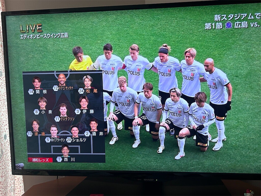 f:id:Magnoliarida:20240223141239j:image f:id:Magnoliarida:20240223141239j:image