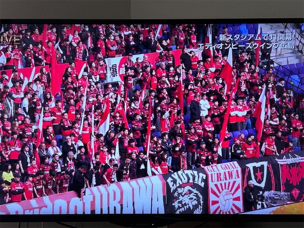 f:id:Magnoliarida:20240223141249j:image f:id:Magnoliarida:20240223141249j:image