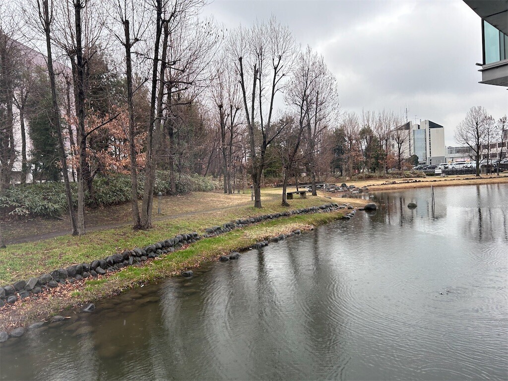 f:id:Magnoliarida:20240225230648j:image f:id:Magnoliarida:20240225230648j:image