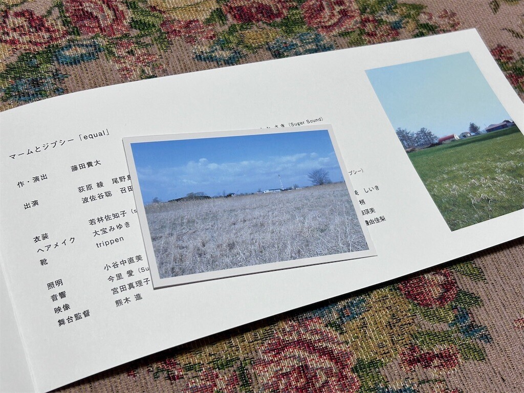 f:id:Magnoliarida:20240226164548j:image f:id:Magnoliarida:20240226164548j:image