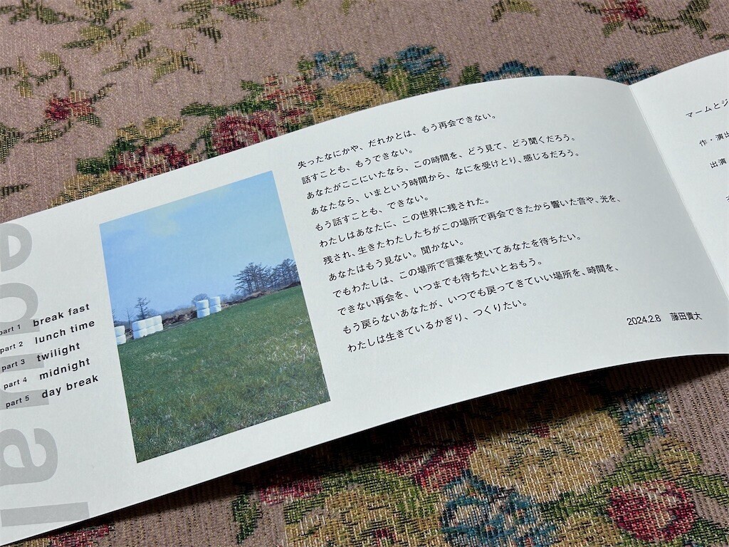 f:id:Magnoliarida:20240226164920j:image f:id:Magnoliarida:20240226164920j:image