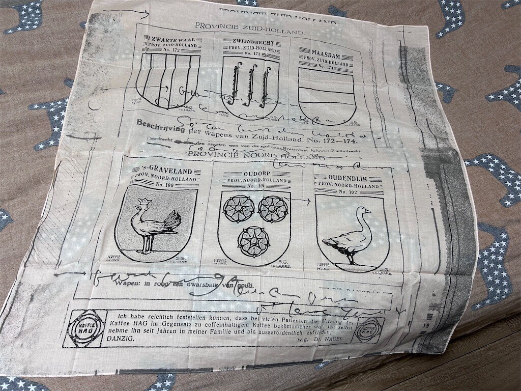 f:id:Magnoliarida:20240226170619j:image f:id:Magnoliarida:20240226170619j:image