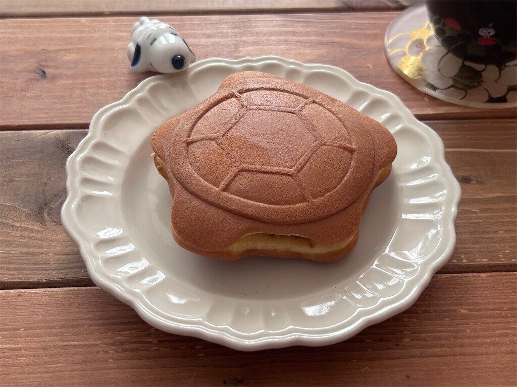 f:id:Magnoliarida:20240227082914j:image f:id:Magnoliarida:20240227082914j:image