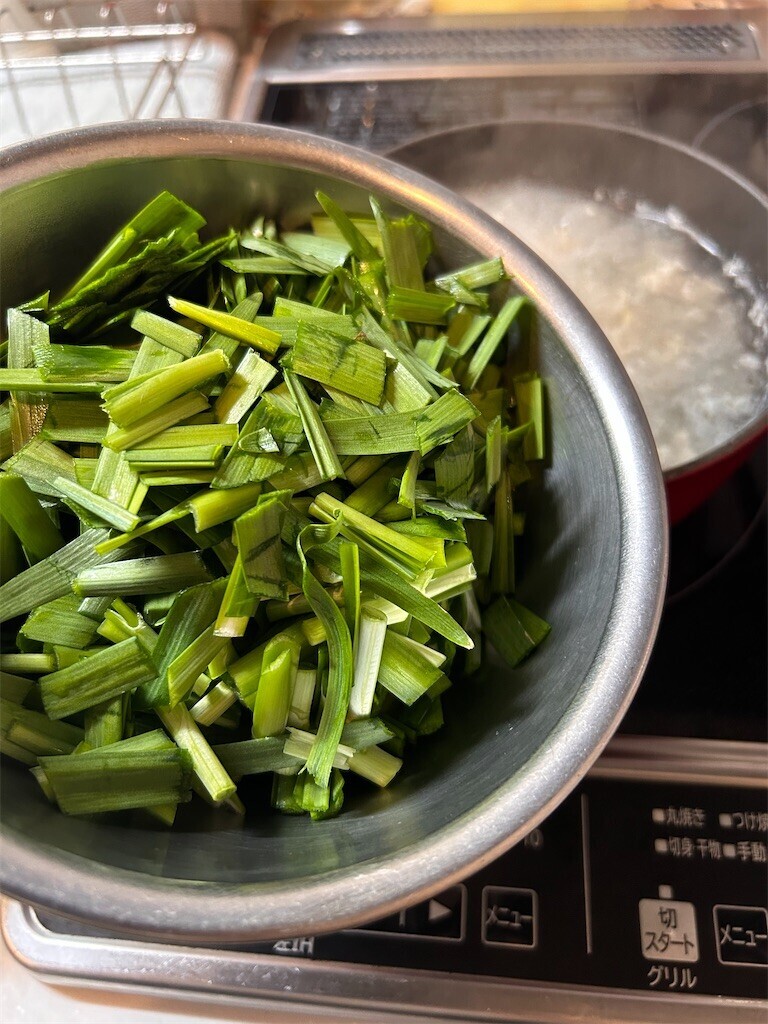 f:id:Magnoliarida:20240314083656j:image f:id:Magnoliarida:20240314083656j:image