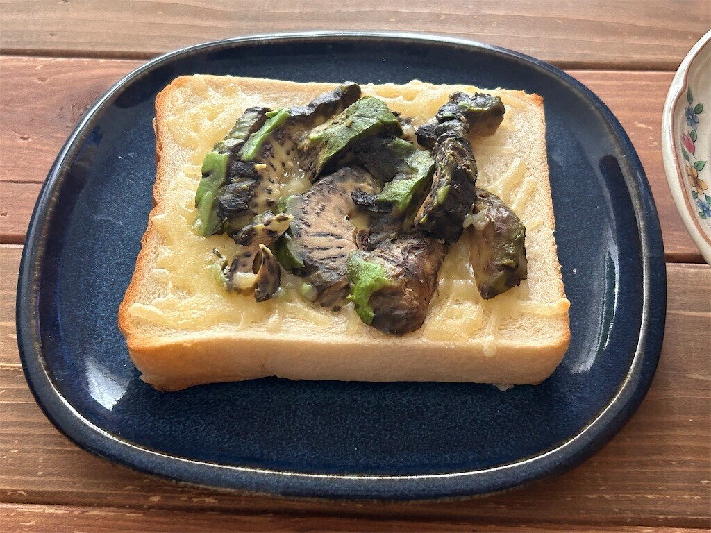 f:id:Magnoliarida:20240323095400j:image f:id:Magnoliarida:20240323095400j:image