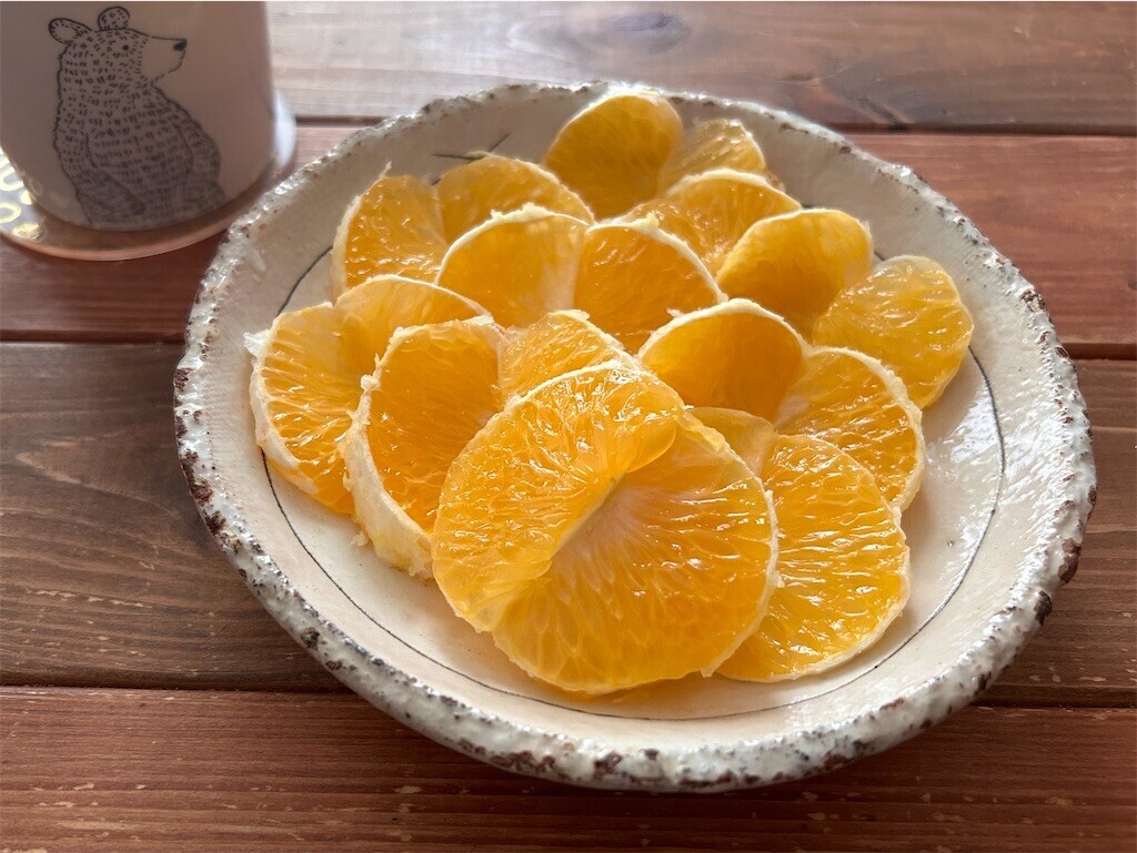 f:id:Magnoliarida:20240323102342j:image f:id:Magnoliarida:20240323102342j:image