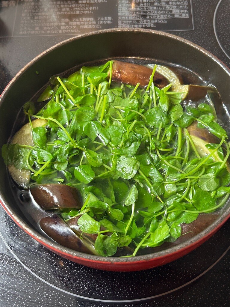 f:id:Magnoliarida:20240325083232j:image