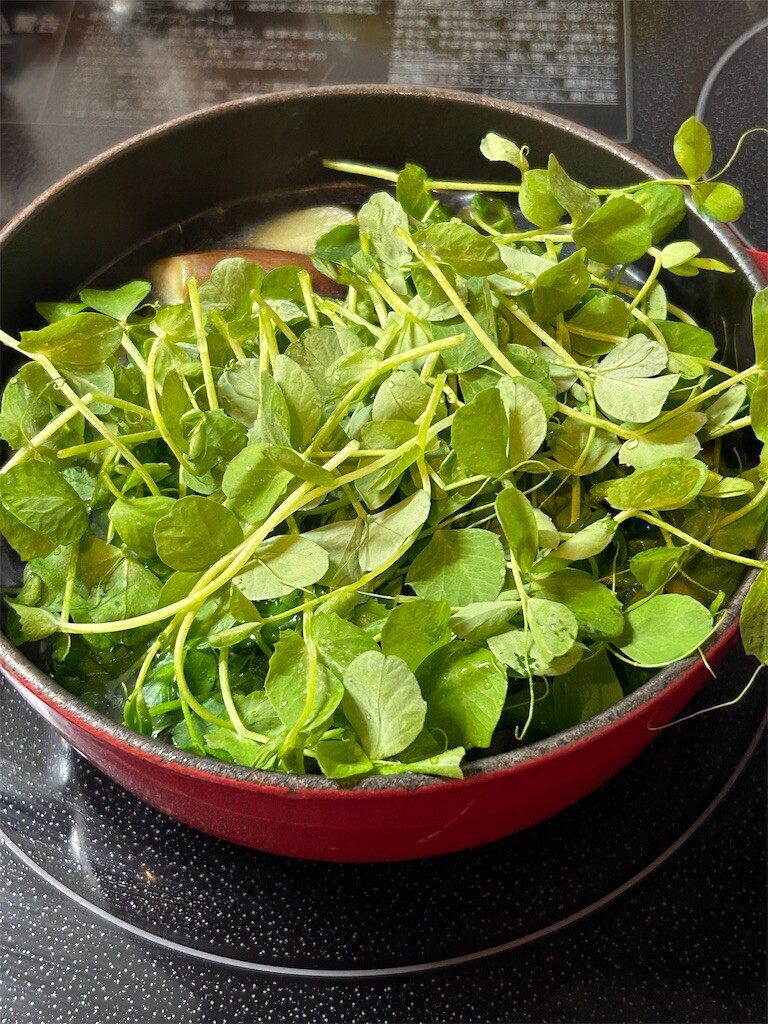 f:id:Magnoliarida:20240325083236j:image