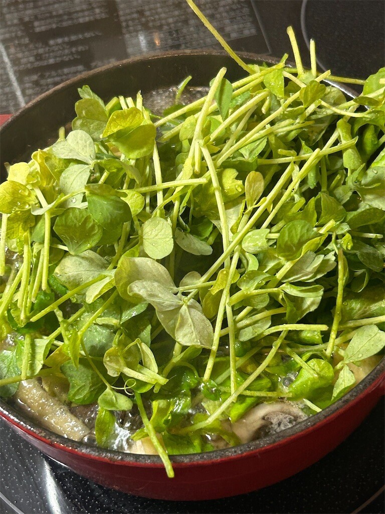 f:id:Magnoliarida:20240329084344j:image