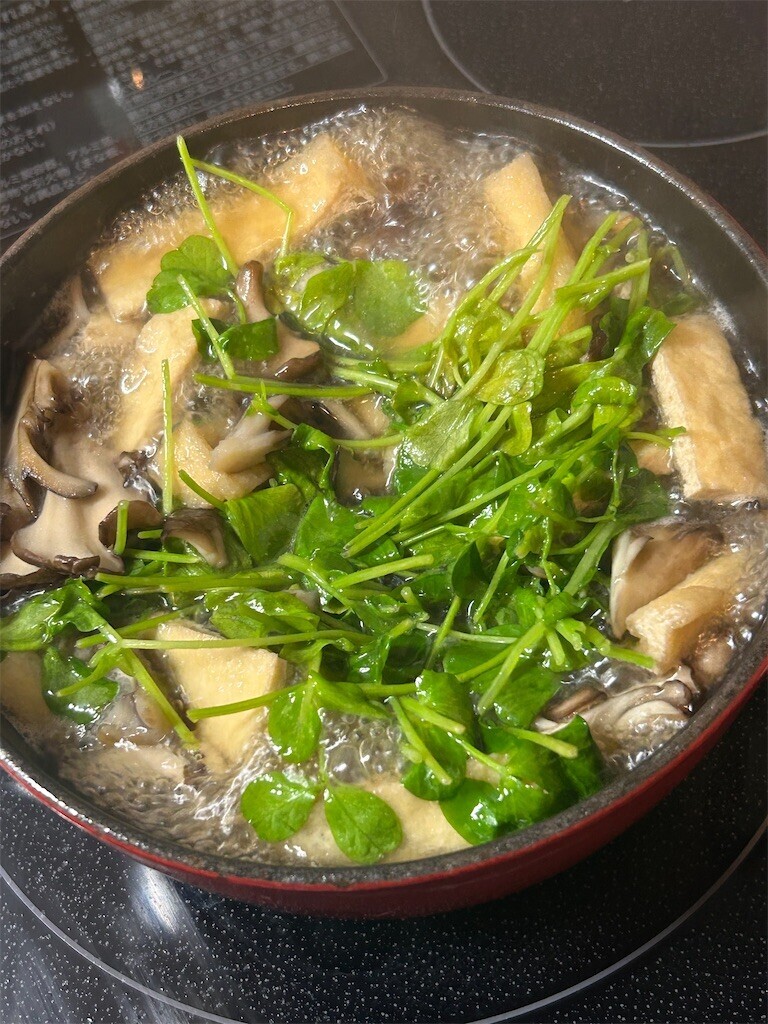 f:id:Magnoliarida:20240329084348j:image