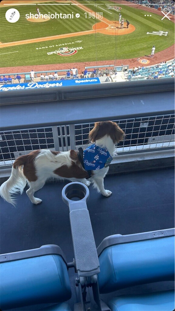 f:id:Magnoliarida:20240329114446j:image