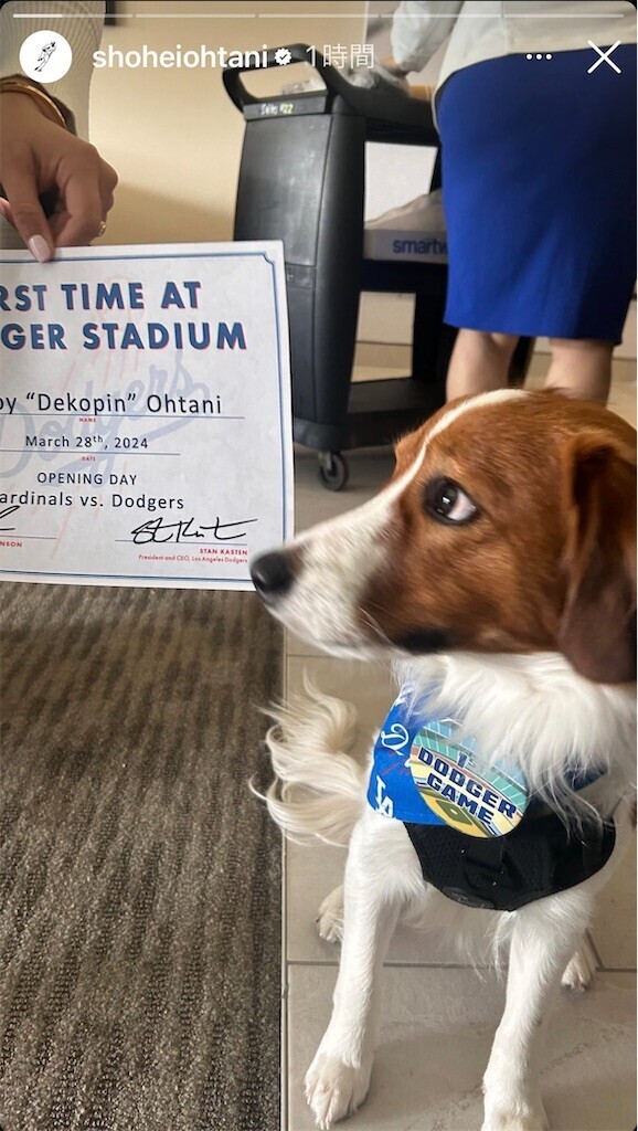 f:id:Magnoliarida:20240329194636j:image