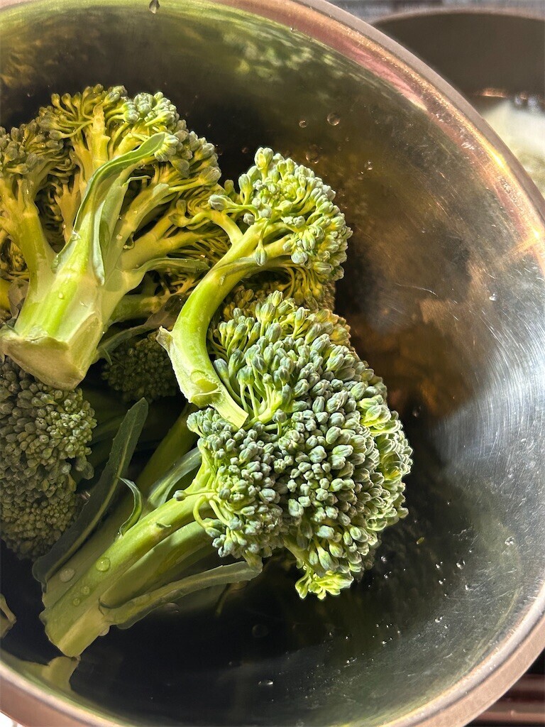 f:id:Magnoliarida:20240402083547j:image f:id:Magnoliarida:20240402083547j:image