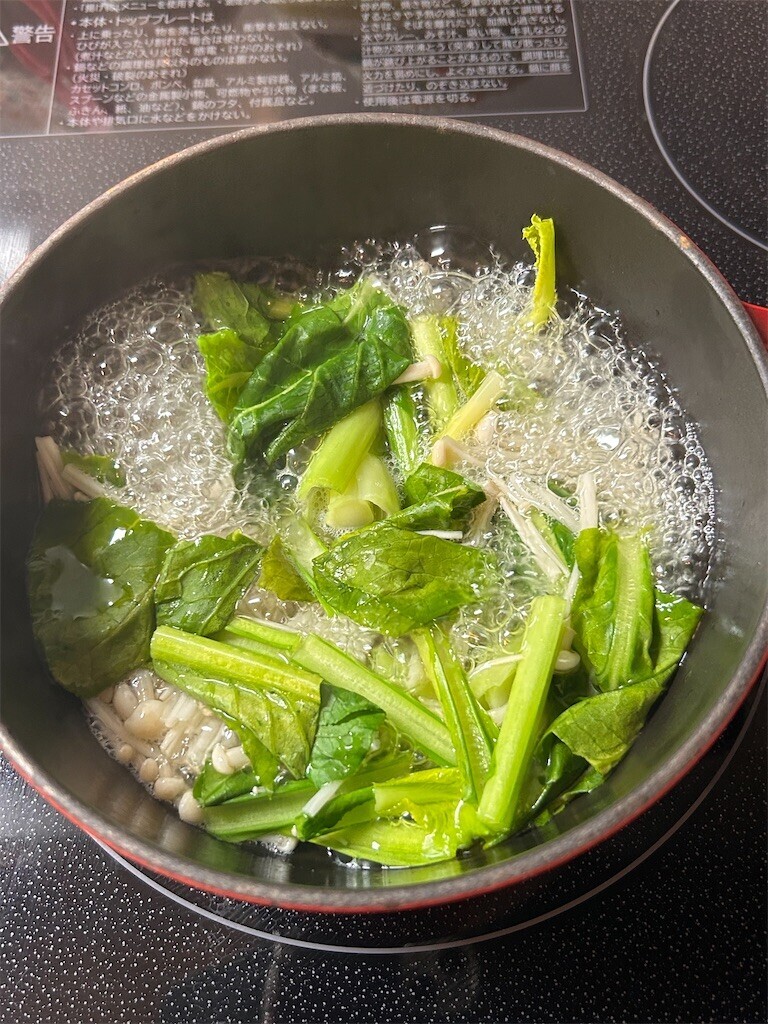 f:id:Magnoliarida:20240409072205j:image